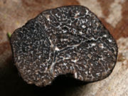 Black P�rigord Truffle (Tuber melanosporum), cut in half.