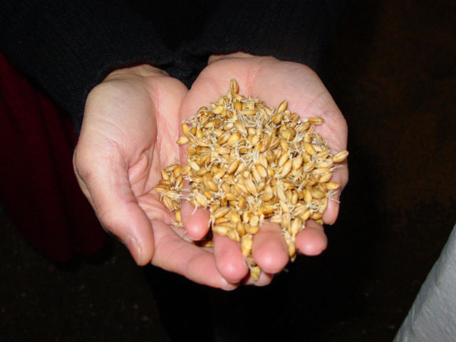 Image:Sjb whiskey malt.jpg