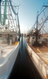 Fishing boats in Biloxi