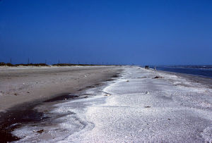 Gulf beach near Sabine Pass.