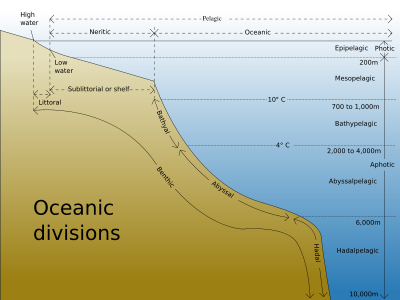 The major oceanic divisions