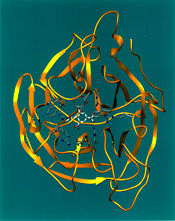 The N in H5N1 stands for "Neuraminidase", as depicted in this ribbon diagram.