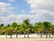 Crandon Park in Key Biscayne, Florida