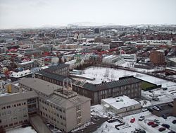 Reykjavik seen from Hallgr�mskirkja