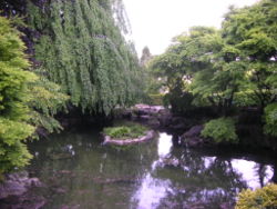 Garden pond near Niagara Falls.