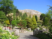 A sunny corner in the Happy Valley gardens