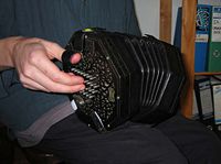 Concertina