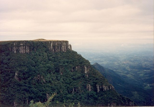 Image:Parana traps.JPG