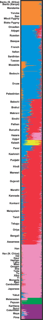 Gene clusters from Rosenberg (2006) for N=7. (Cluster analysis divides a dataset into any prespecified number of clusters.) Individuals have genes from multiple clusters. The cluster prevalent only among the Kalash people (yellow) only splits off at N=7 and greater.