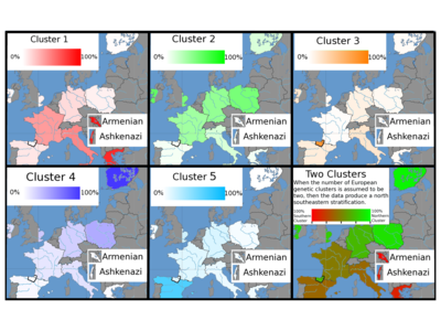 Distribution of European clusters identified by Bauchet. When two clusters are identified there is a north-southeast cline that may be due to demic diffusion during the European Neolithic