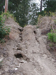 Bank erosion started by four wheeler all-terrain vehicles, Yauhanna, South Carolina