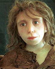 Reconstruction of a NeanderthaI child from Gibraltar (Anthropological Institute, University of Z�rich).