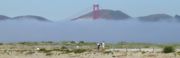 Fog envelops the Golden Gate Bridge and approaches Crissy Field.