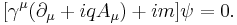  [\gamma^\mu(\partial_\mu + iqA_\mu) + im]\psi = 0.\,