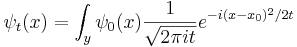 
\psi_t(x) = \int_y \psi_0(x) {1\over \sqrt{2\pi it}} e^{-i (x-x_0)^2 / 2t}
\,