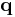 \mathbf{q}