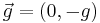 \vec{g} = (0, -g)