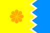 Flag of Viña del Mar