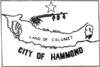 Flag of City of Hammond, Indiana