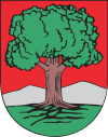 Coat of arms of Wałbrzych