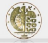 Tbilisi City Seal.PNG