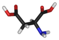 L-aspartic-acid-3D-sticks2.png