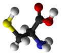 L-cysteine-3D-balls2.png