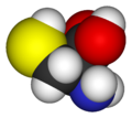 L-cysteine-3D-vdW2.png