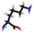 L-lysine-3D-sticks.png