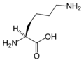 L-lysine-skeletal.png