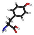 L-tyrosine-3D-sticks.png