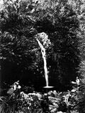 Second Falls, Waterfall Gully 1880.jpg