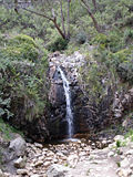 Second Falls, Waterfall Gully 2008.jpg