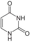 Uracil.svg