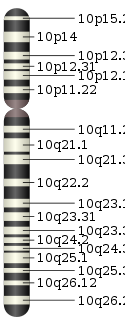 Chromosome 10.svg