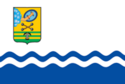 Flag of Petrozavodsk (Karelia).png