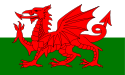 Flag of Wales 2.svg