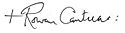 Rowan Williams's signature