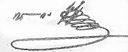 Iliasignature1.jpg