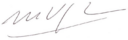 Mario vargas llosa signature white.png