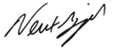 Newt Gingrich's signature