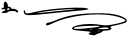 Viktor Yushchenko's signature