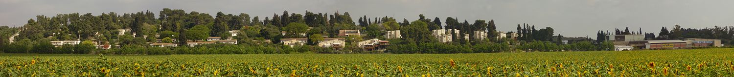 Panorama of Kibbutz Barkai in the Wadi Ara region