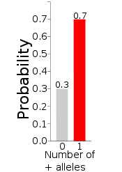 Bernoulli 0.7.svg