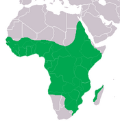 Nile crocodile range