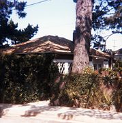 Steinbeck lived for many years in this cottage in Pacific Grove, California; he planted the pine tree in the front yard.