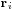 \scriptstyle{\mathbf{r}_i}