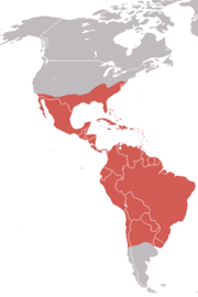 Approximate range/distribution map of the American Black Vulture. Red indicates presence.