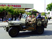 CaastroValleyMay2008parade-016.jpg