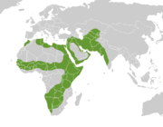 Caracal distribution.GIF